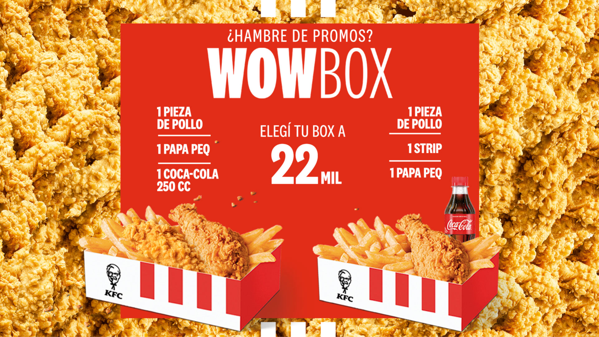 wow-box